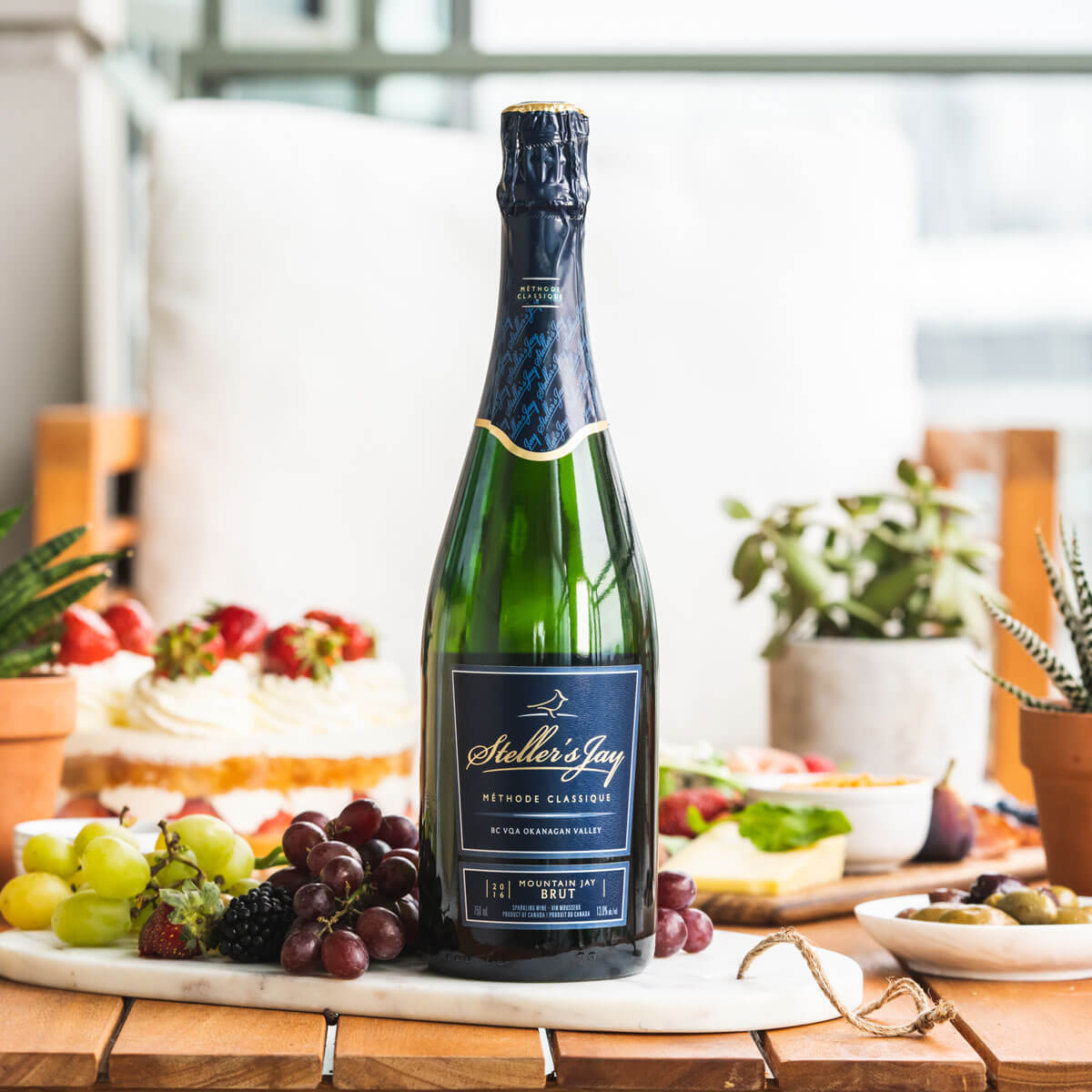 Mountain Jay Brut