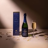 Mountain Jay Brut