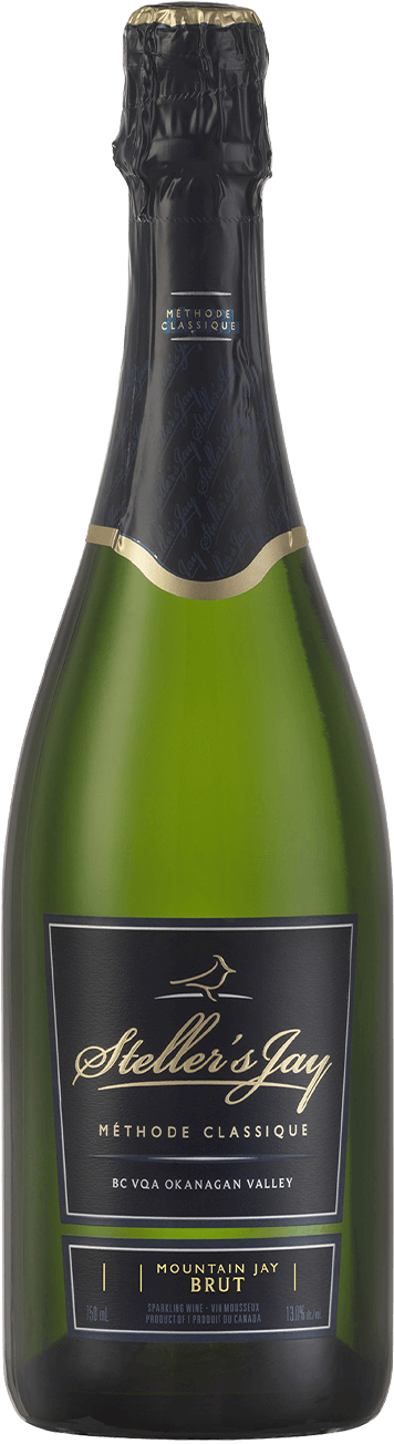 Mountain Jay Brut